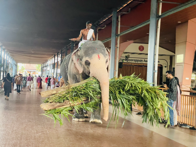 Guruvayur Shri Krishna Temple